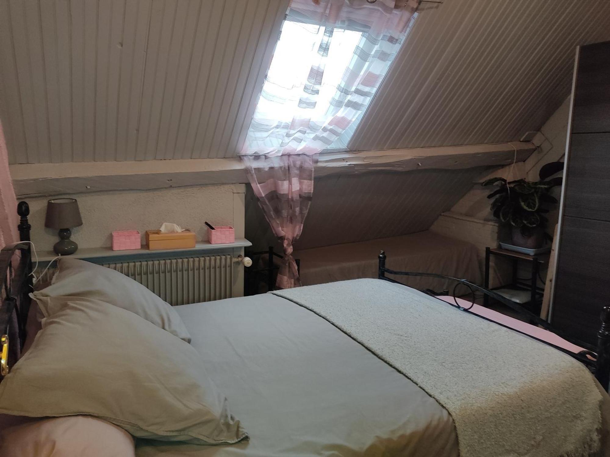 Le Lion Dort Bed & Breakfast Cormeilles-en-Parisis Exterior photo